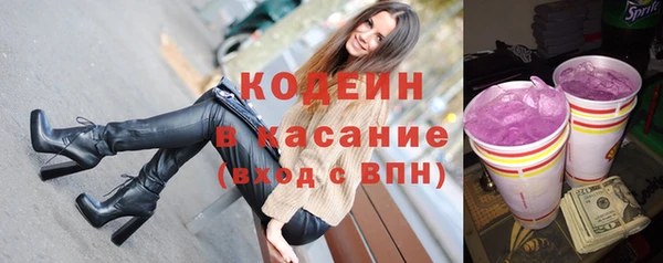 соль ск Пересвет
